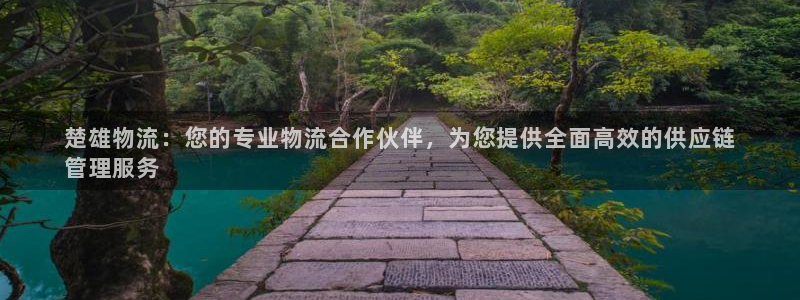 28圈预测加拿大师准