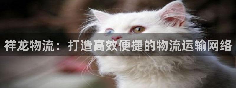 28圈v6能卖多少