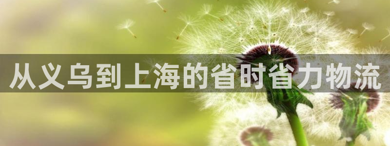 28圈是什么软件