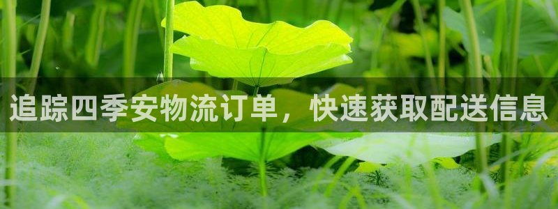 28圈加拿大走势