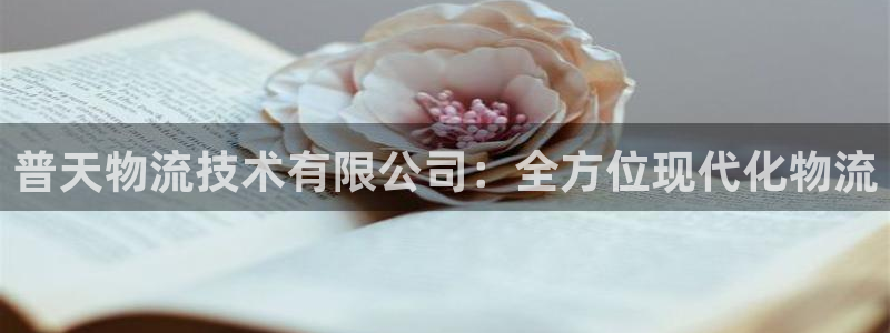 28圈加拿大怎么玩