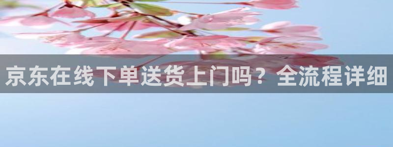 28圈加拿大28