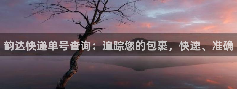28圈p图上分下款通道