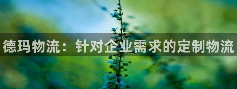 28圈加拿大走势