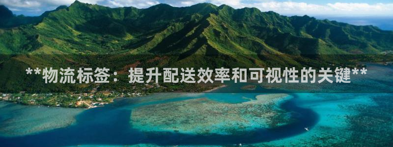 28圈预测加拿大