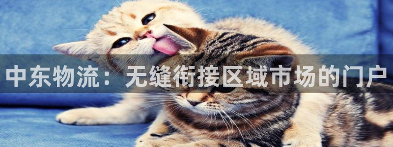 28圈链官网