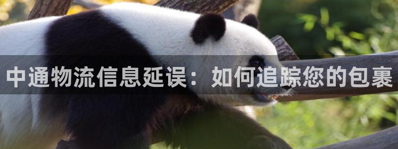 28圈充值不到账什么原因