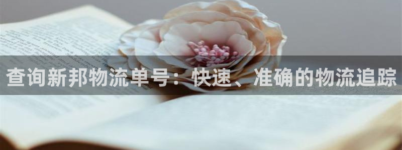 28圈ccm官网版