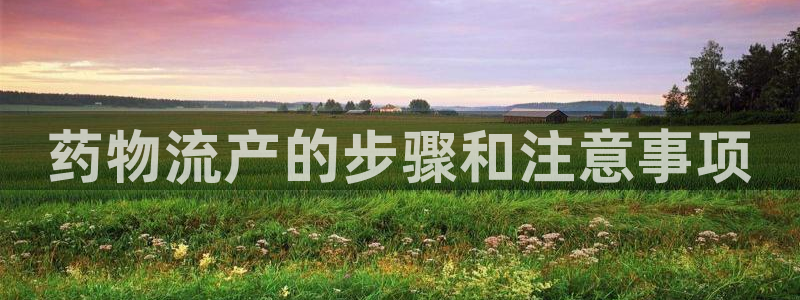 28圈软件
