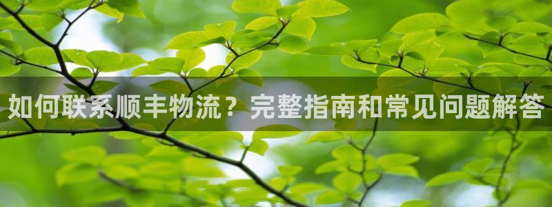 28圈黑钱