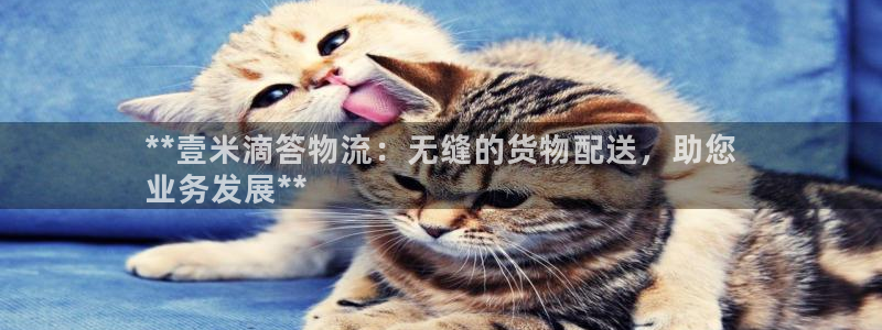 28圈自行车图片