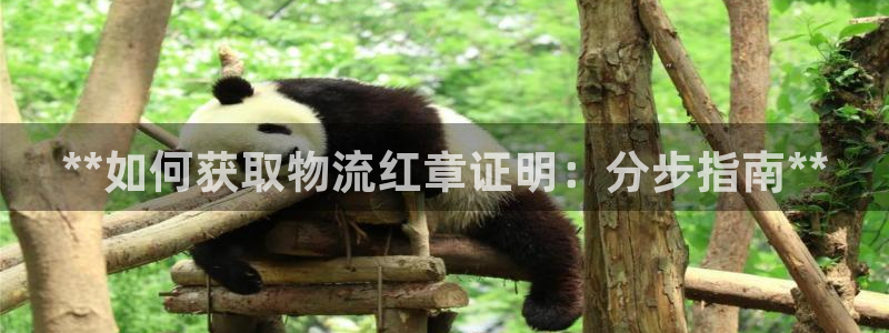 28圈官方网站