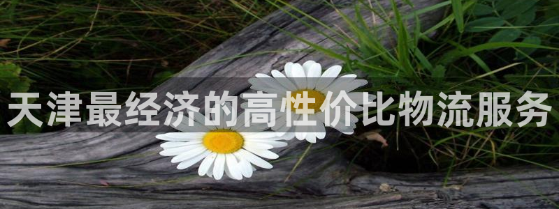 28圈加拿大2.8预测在线预测