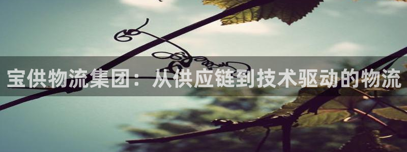 28圈技巧