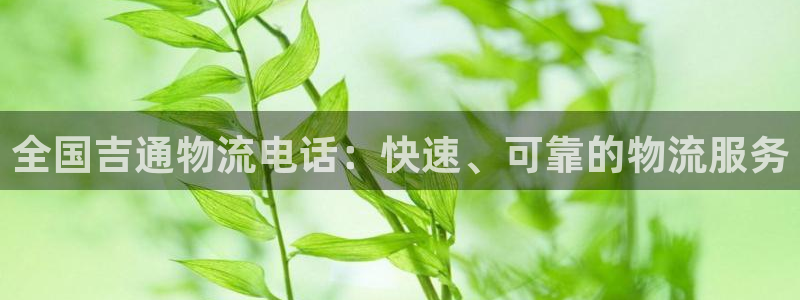 28圈口