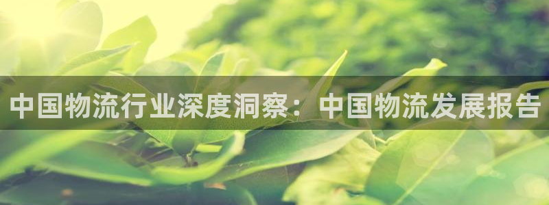 28圈忘记账号