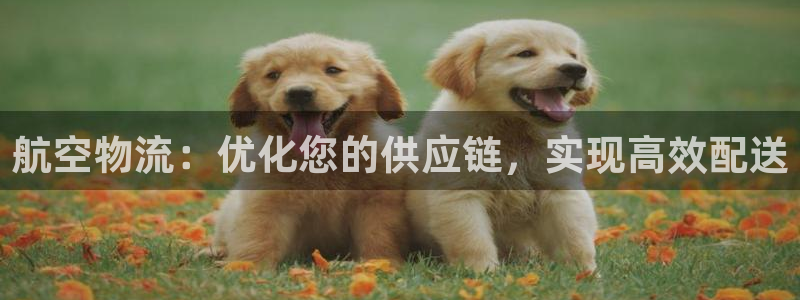 28圈反水怎么算