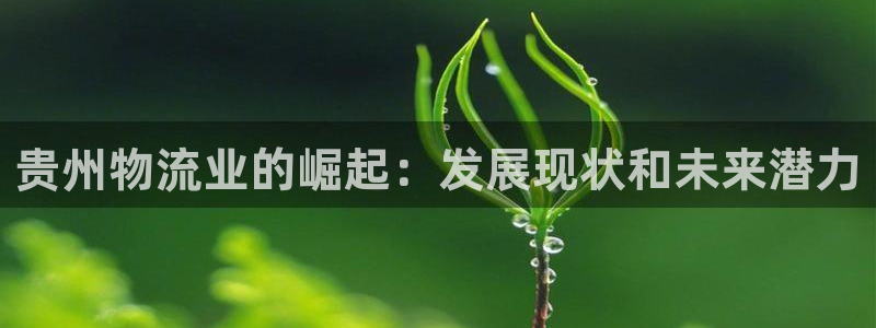28圈加拿大pc预测