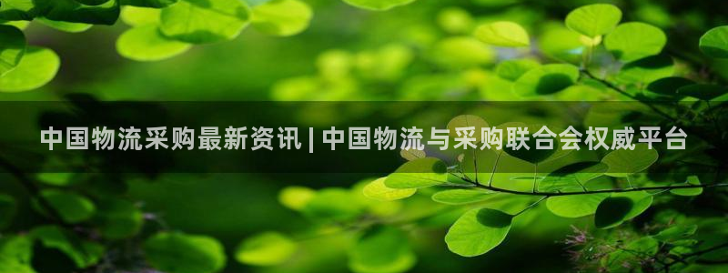 28圈正规吗