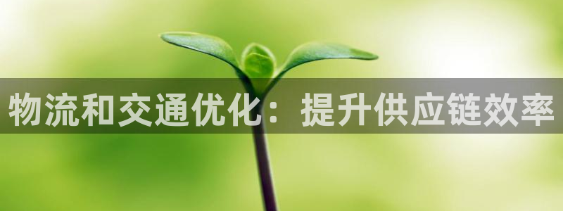 28圈正规吗?