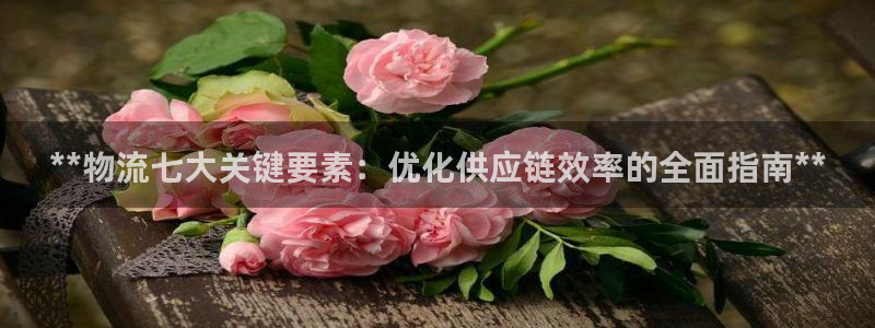 28圈官方版正版