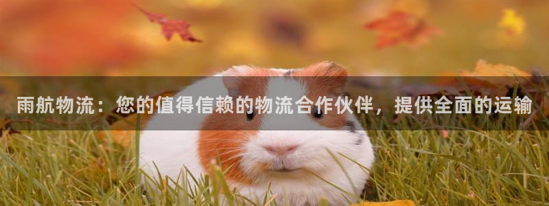 28圈官网版下载