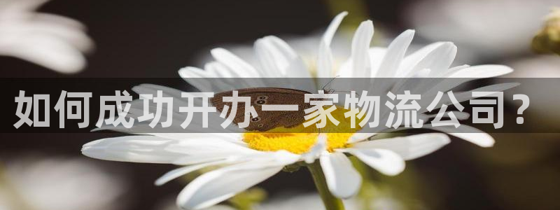 28圈技巧