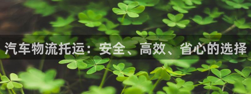 28圈v6能卖多少