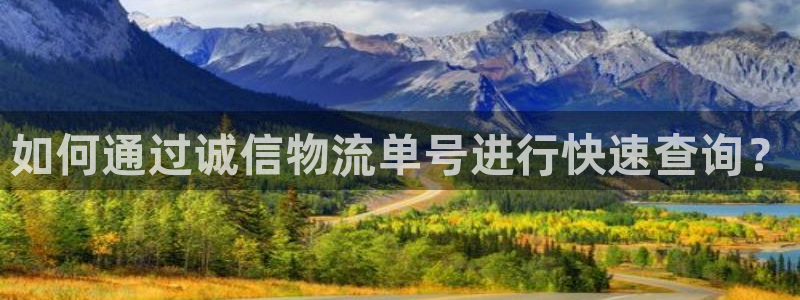 28圈最稳打法