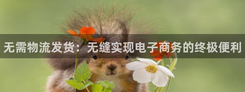 28圈注册登录：无需物流发货：无缝实