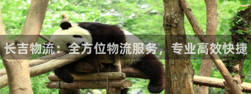 28圈电子游戏
