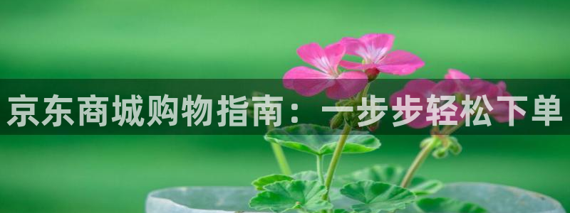 28圈充值不处理会怎么样