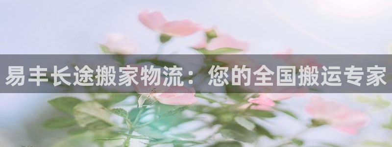 28圈v6能卖多少