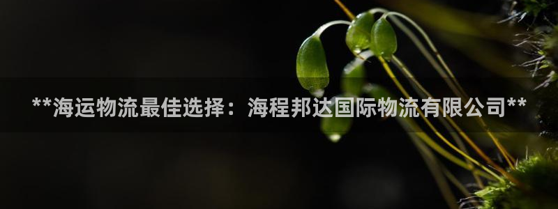 28圈模拟