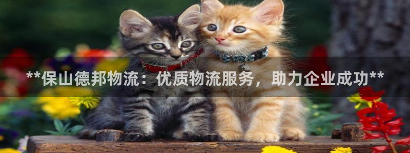 28圈注册流程：**保山德邦物流：优