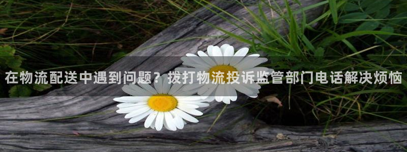 28圈app赢了500万