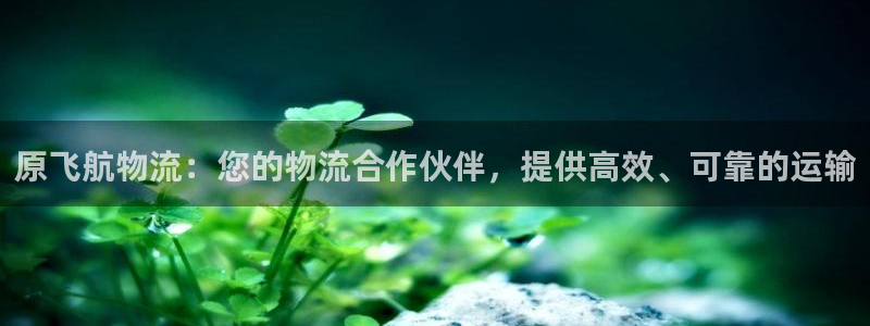28圈能赢钱吗