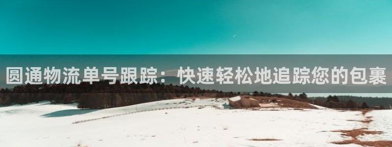 28圈代理落网