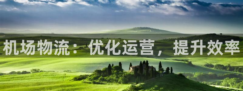 28圈选28ng官网：机场物流：优化