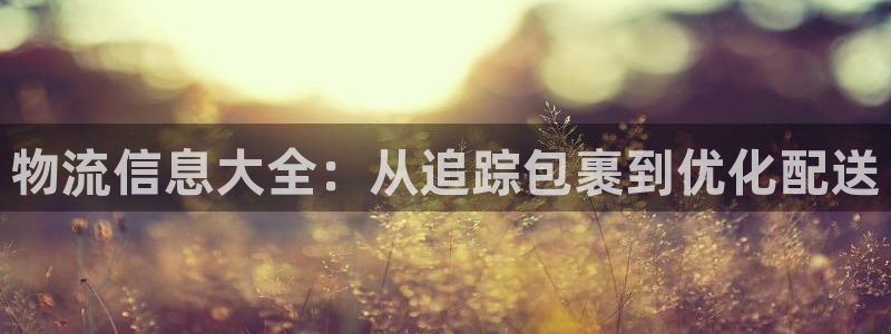 28圈正规吗?