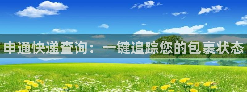 28圈起来的符号：申通快递查询：一键
