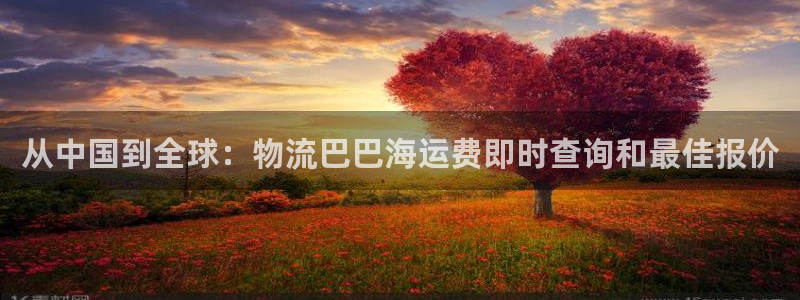 28圈技巧
