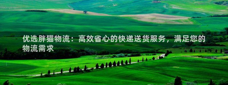 28圈加拿大预测：优选胖猫物流：高效