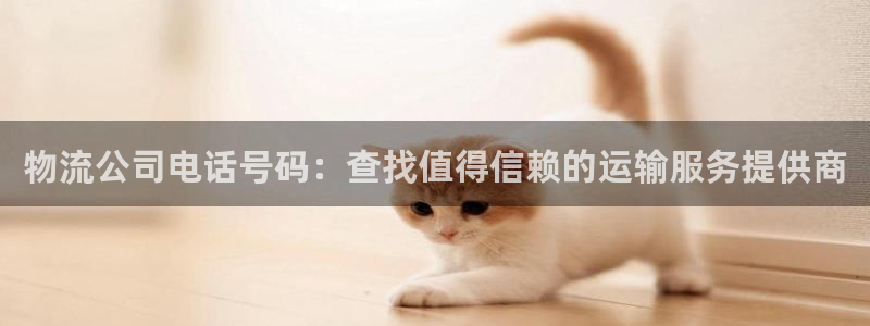 28圈怎么注册游戏名字：物流公司电话