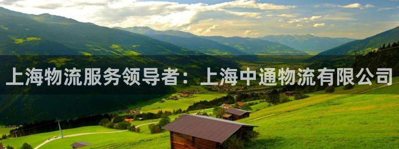 28圈推广链接是多少粉丝：上海物流服