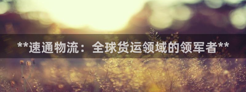 28圈连接