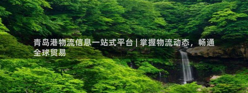 28圈加拿大预测：青岛港物流信息一站