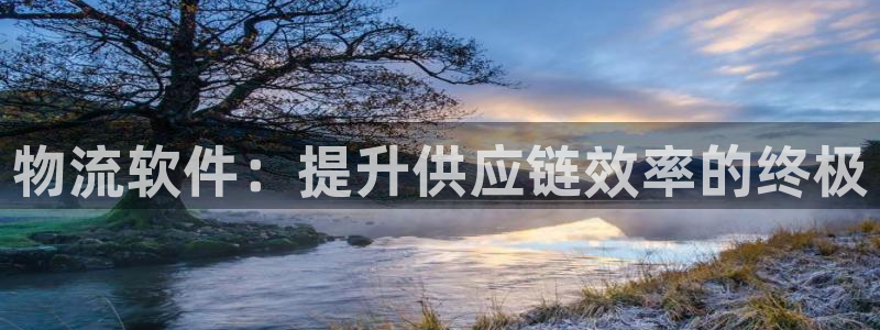 28圈开奖预测