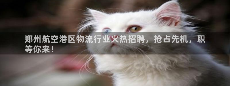 28圈注册二维码：郑州航空港区物流行