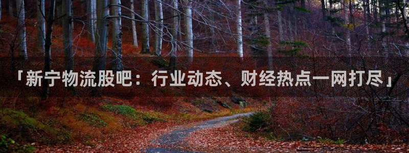 28圈昵称：「新宁物流股吧：行业动态